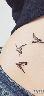 фото тату три ласточки от 24.09.2017 №004 — three swallow tattoos — tatufoto.com