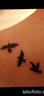 фото тату три ласточки от 24.09.2017 №005 — three swallow tattoos — tatufoto.com