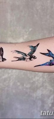 фото тату три ласточки от 24.09.2017 №007 — three swallow tattoos — tatufoto.com