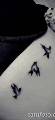 фото тату три ласточки от 24.09.2017 №008 — three swallow tattoos — tatufoto.com