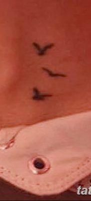 фото тату три ласточки от 24.09.2017 №009 — three swallow tattoos — tatufoto.com