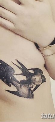 фото тату три ласточки от 24.09.2017 №012 — three swallow tattoos — tatufoto.com