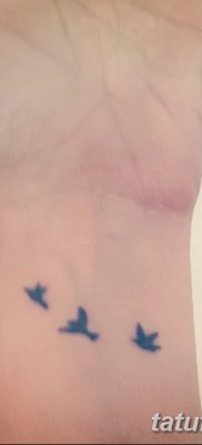 фото тату три ласточки от 24.09.2017 №013 — three swallow tattoos — tatufoto.com