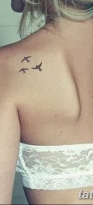 фото тату три ласточки от 24.09.2017 №014 — three swallow tattoos — tatufoto.com