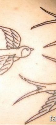 фото тату три ласточки от 24.09.2017 №015 — three swallow tattoos — tatufoto.com