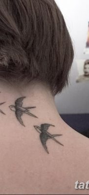 фото тату три ласточки от 24.09.2017 №016 — three swallow tattoos — tatufoto.com 1415123