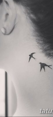 фото тату три ласточки от 24.09.2017 №019 — three swallow tattoos — tatufoto.com
