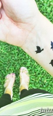 фото тату три ласточки от 24.09.2017 №022 — three swallow tattoos — tatufoto.com