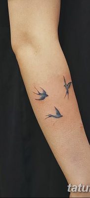 фото тату три ласточки от 24.09.2017 №024 — three swallow tattoos — tatufoto.com