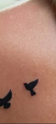 фото тату три ласточки от 24.09.2017 №026 — three swallow tattoos — tatufoto.com