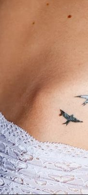 фото тату три ласточки от 24.09.2017 №029 — three swallow tattoos — tatufoto.com
