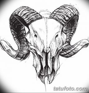 фото тату череп козы от 20.09.2017 №001 - goat skull tattoo - tatufoto.com
