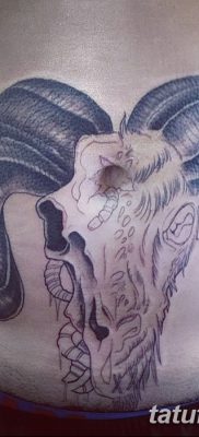 фото тату череп козы от 20.09.2017 №003 — goat skull tattoo — tatufoto.com