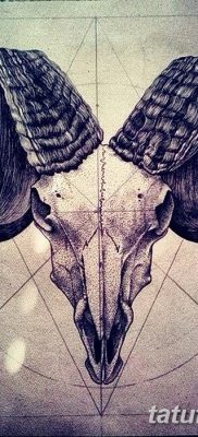 фото тату череп козы от 20.09.2017 №008 — goat skull tattoo — tatufoto.com