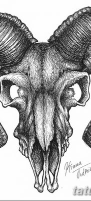 фото тату череп козы от 20.09.2017 №020 — goat skull tattoo — tatufoto.com