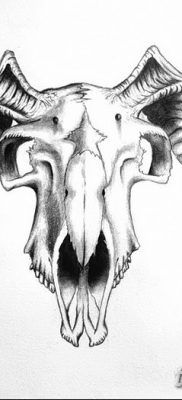 фото тату череп козы от 20.09.2017 №038 — goat skull tattoo — tatufoto.com