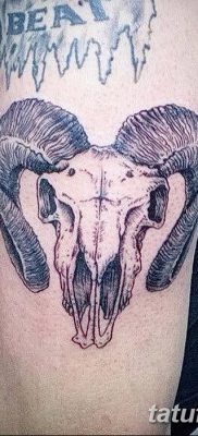 фото тату череп козы от 20.09.2017 №039 — goat skull tattoo — tatufoto.com