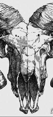 фото тату череп козы от 20.09.2017 №044 — goat skull tattoo — tatufoto.com