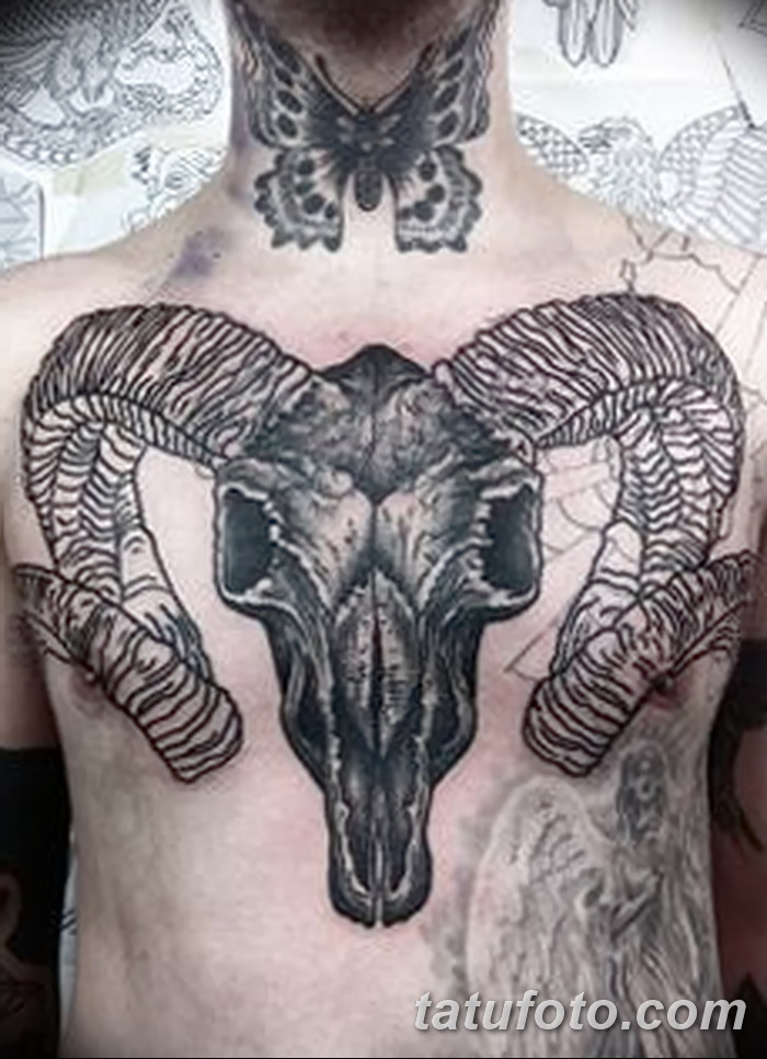 фото тату череп козы от 20.09.2017 №051 - goat skull tattoo - tatufoto.com