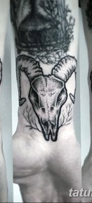 фото тату череп козы от 20.09.2017 №076 — goat skull tattoo — tatufoto.com