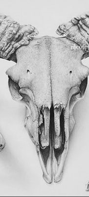 фото тату череп козы от 20.09.2017 №077 — goat skull tattoo — tatufoto.com