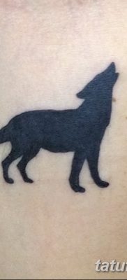 фото тату черный волк от 13.09.2017 №004 — black wolf tattoo — tatufoto.com