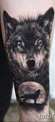 фото тату черный волк от 13.09.2017 №013 — black wolf tattoo — tatufoto.com