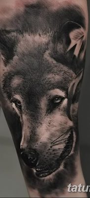 фото тату черный волк от 13.09.2017 №025 — black wolf tattoo — tatufoto.com
