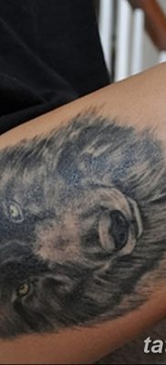фото тату черный волк от 13.09.2017 №027 — black wolf tattoo — tatufoto.com