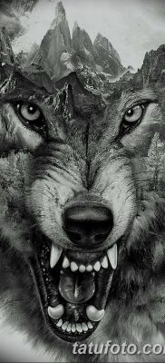 фото тату черный волк от 13.09.2017 №029 — black wolf tattoo — tatufoto.com