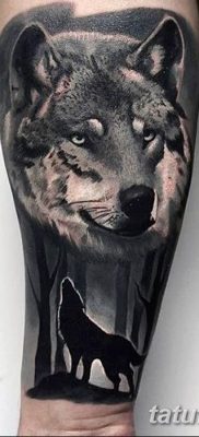 фото тату черный волк от 13.09.2017 №030 — black wolf tattoo — tatufoto.com