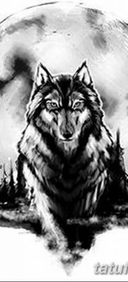 фото тату черный волк от 13.09.2017 №031 — black wolf tattoo — tatufoto.com