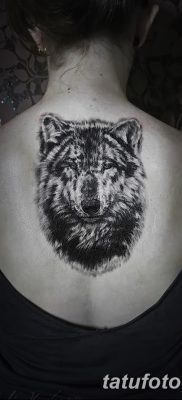 фото тату черный волк от 13.09.2017 №042 — black wolf tattoo — tatufoto.com