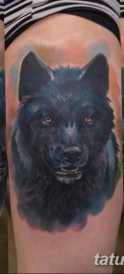 фото тату черный волк от 13.09.2017 №052 — black wolf tattoo — tatufoto.com