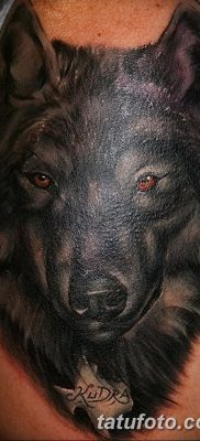 фото тату черный волк от 13.09.2017 №053 — black wolf tattoo — tatufoto.com