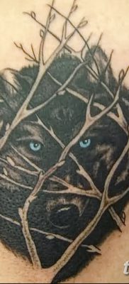 фото тату черный волк от 13.09.2017 №056 — black wolf tattoo — tatufoto.com