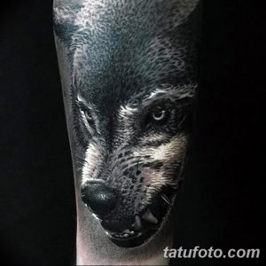 Фотография реалистичной татуировки волка на предплечье. Детализированная прорисовка шерсти, глаз и зубов создает эффект присутствия.