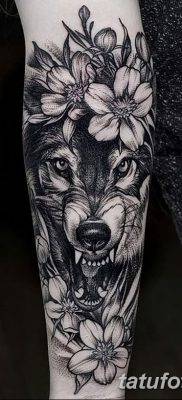 фото тату черный волк от 13.09.2017 №064 — black wolf tattoo — tatufoto.com