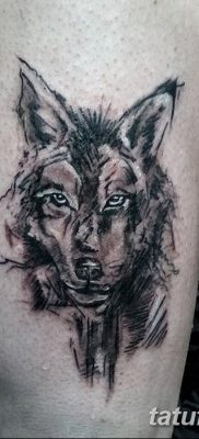 фото тату черный волк от 13.09.2017 №065 — black wolf tattoo — tatufoto.com