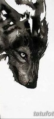 фото тату черный волк от 13.09.2017 №068 — black wolf tattoo — tatufoto.com