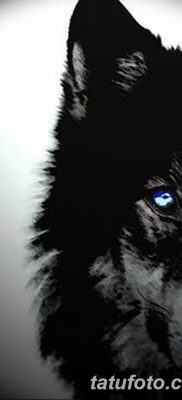 фото тату черный волк от 13.09.2017 №070 — black wolf tattoo — tatufoto.com