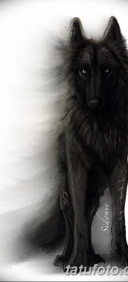 фото тату черный волк от 13.09.2017 №073 — black wolf tattoo — tatufoto.com