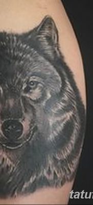 фото тату черный волк от 13.09.2017 №078 — black wolf tattoo — tatufoto.com