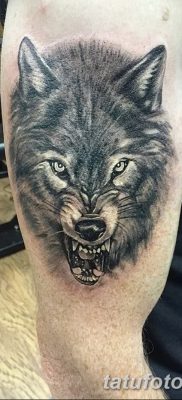 фото тату черный волк от 13.09.2017 №079 — black wolf tattoo — tatufoto.com