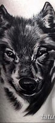 фото тату черный волк от 13.09.2017 №086 — black wolf tattoo — tatufoto.com