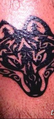 фото тату черный волк от 13.09.2017 №092 — black wolf tattoo — tatufoto.com
