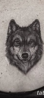 фото тату черный волк от 13.09.2017 №095 — black wolf tattoo — tatufoto.com