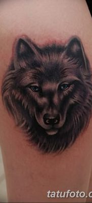 фото тату черный волк от 13.09.2017 №096 — black wolf tattoo — tatufoto.com