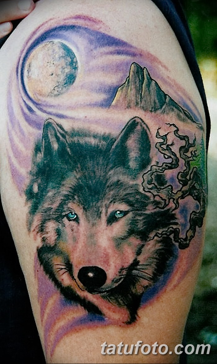 Тату цветная волк на плечо