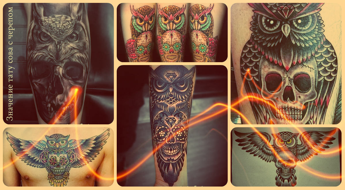 Значение тату сова с черепом - коллекция фото готовых татуировок - рисунки